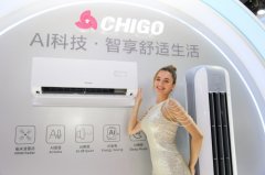 国空调行业国际化摸索的先行者